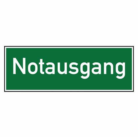[650055] NOTAUSGANG, 400x200mm, Kunststoff
