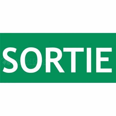 [650059] SORTIE, 300x150mm, Kunststoff Nachtleuchtend/ Auslaufmodell